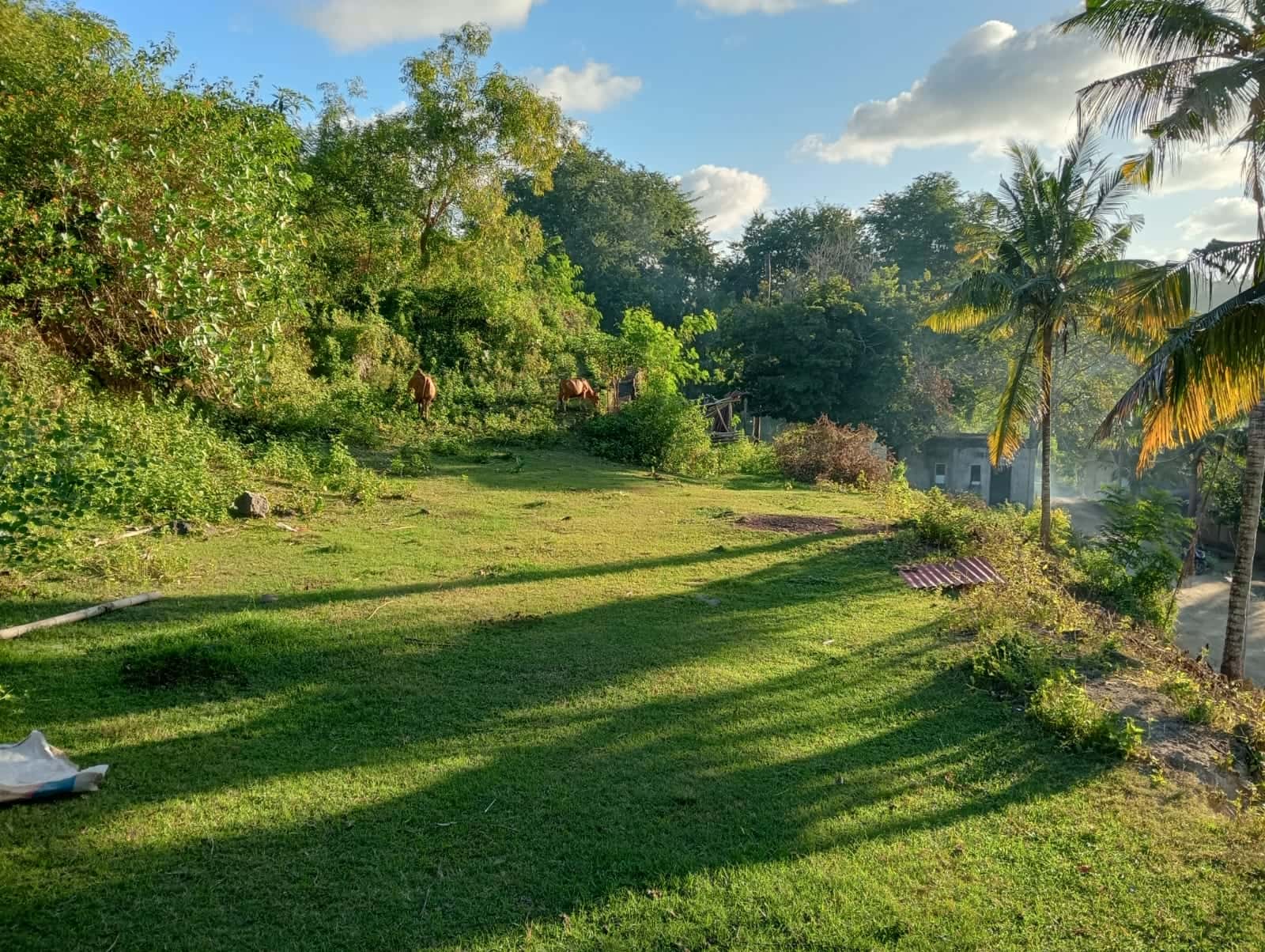 Lands for Sale in Kuta Lombok, South Lombok - 3242 sqm