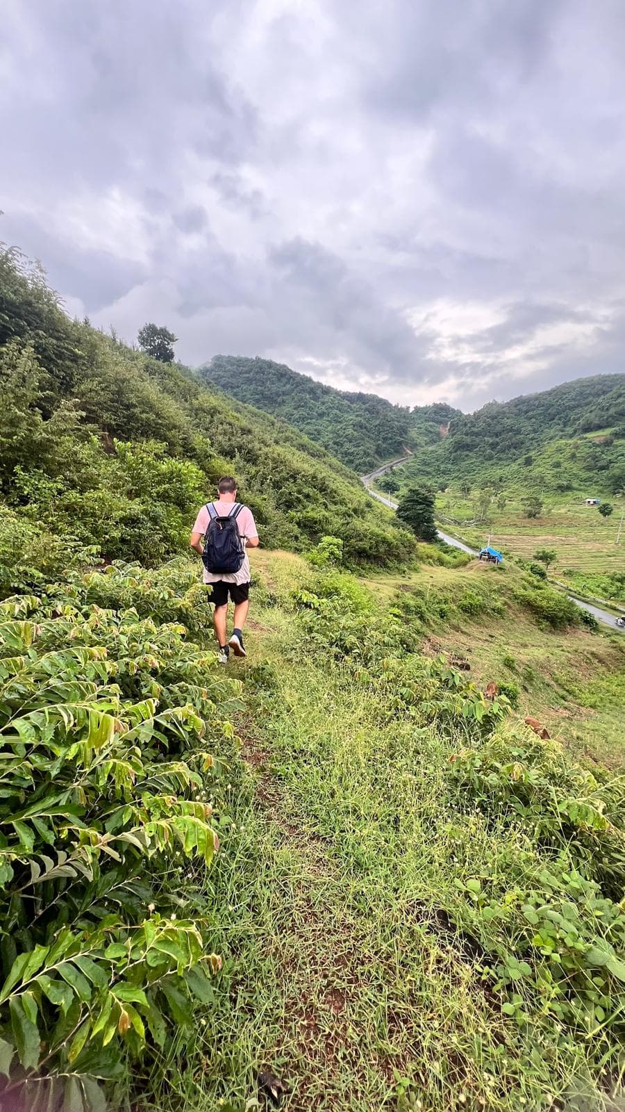 We walk every plot before we show it.