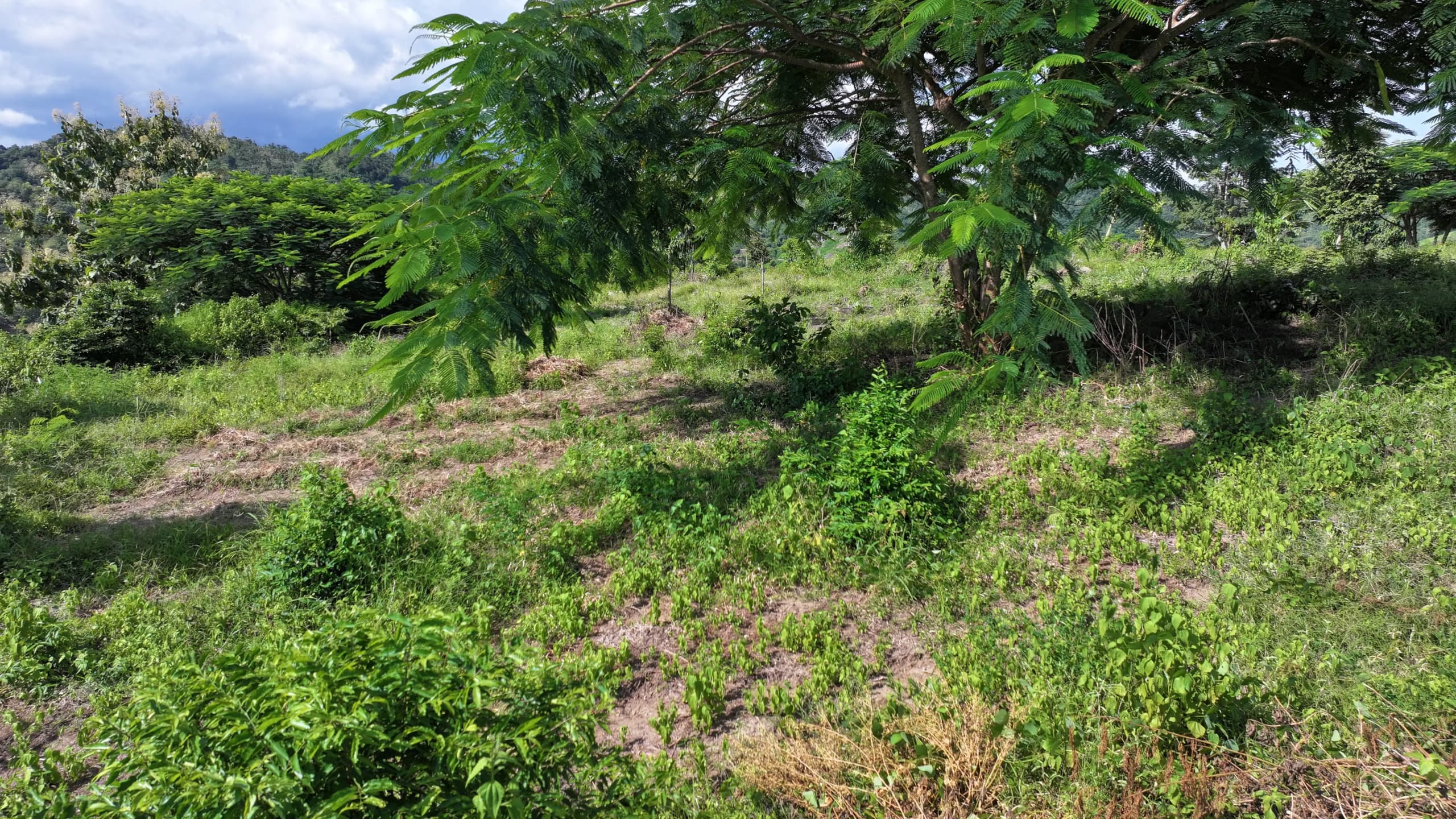 Oceanview land for sale in selong belanak