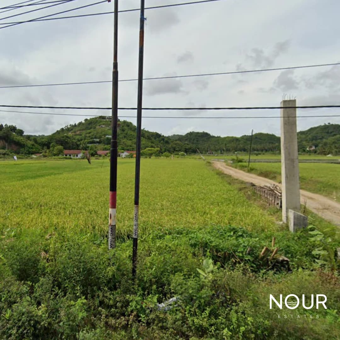 Flat land for sale in Selong belanak