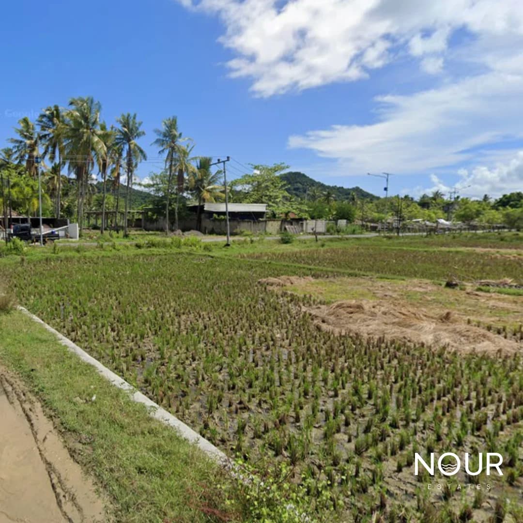 Flat land for sale in Selong belanak