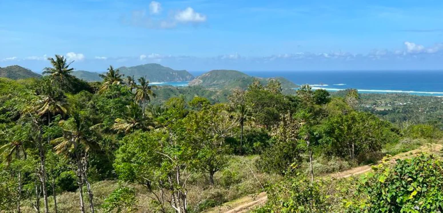 Land for sale in Tampah Lombok