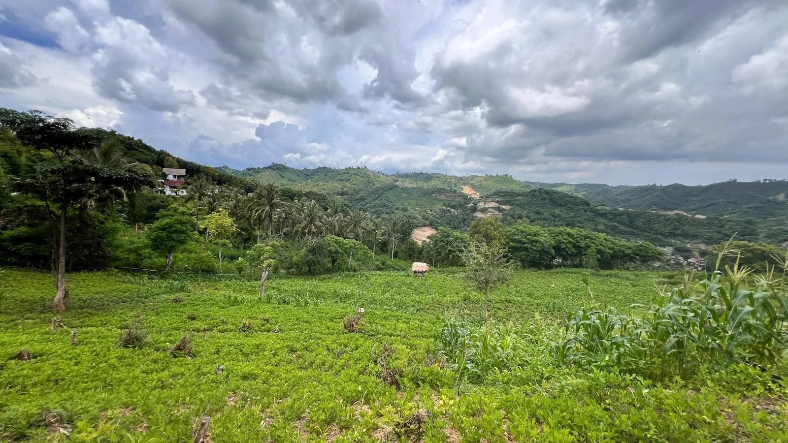 Bunga Hills - Land for Sale in Kuta Lombok