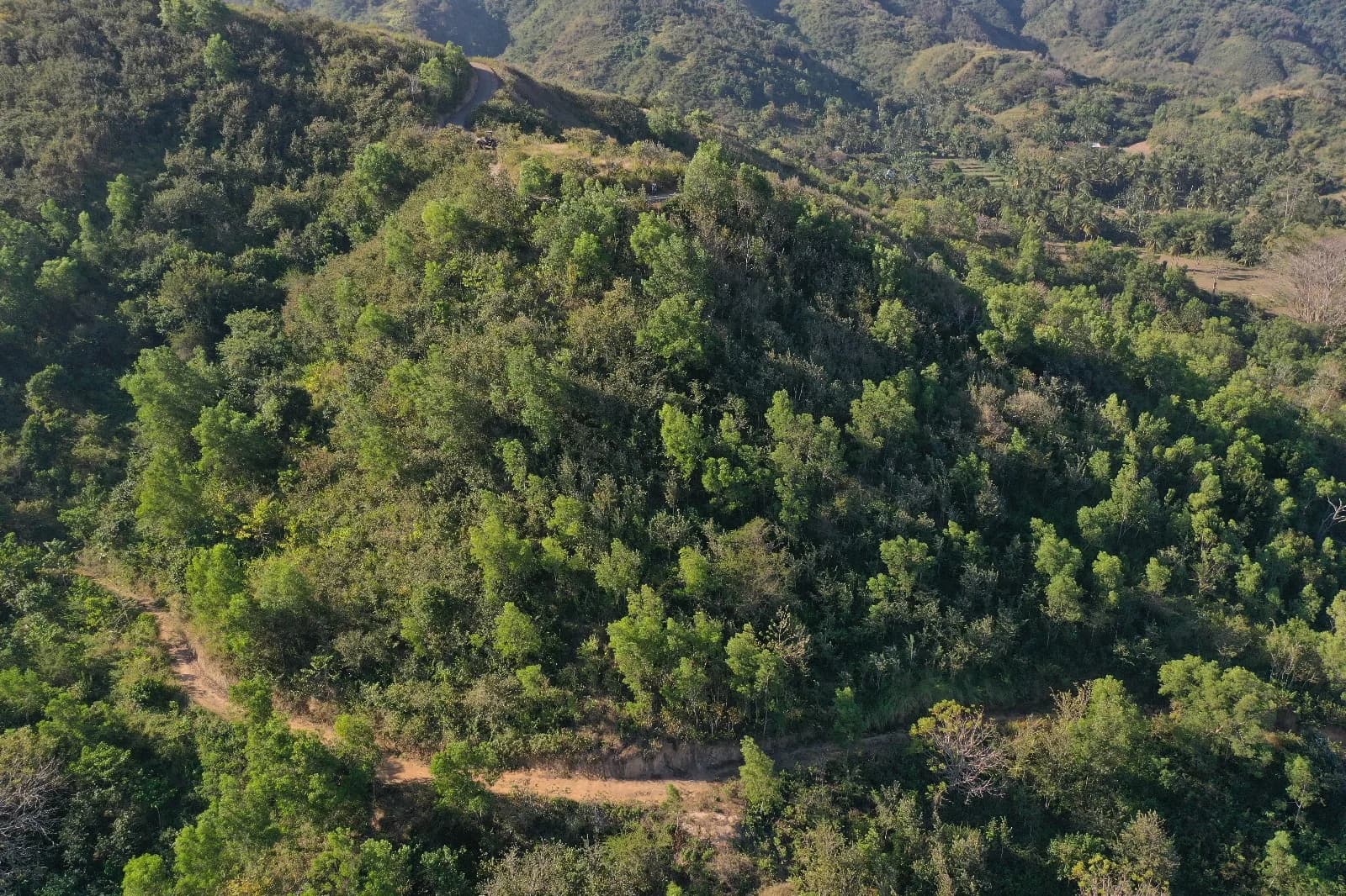 Oceanview land for sale in Tampah Hills Lombok