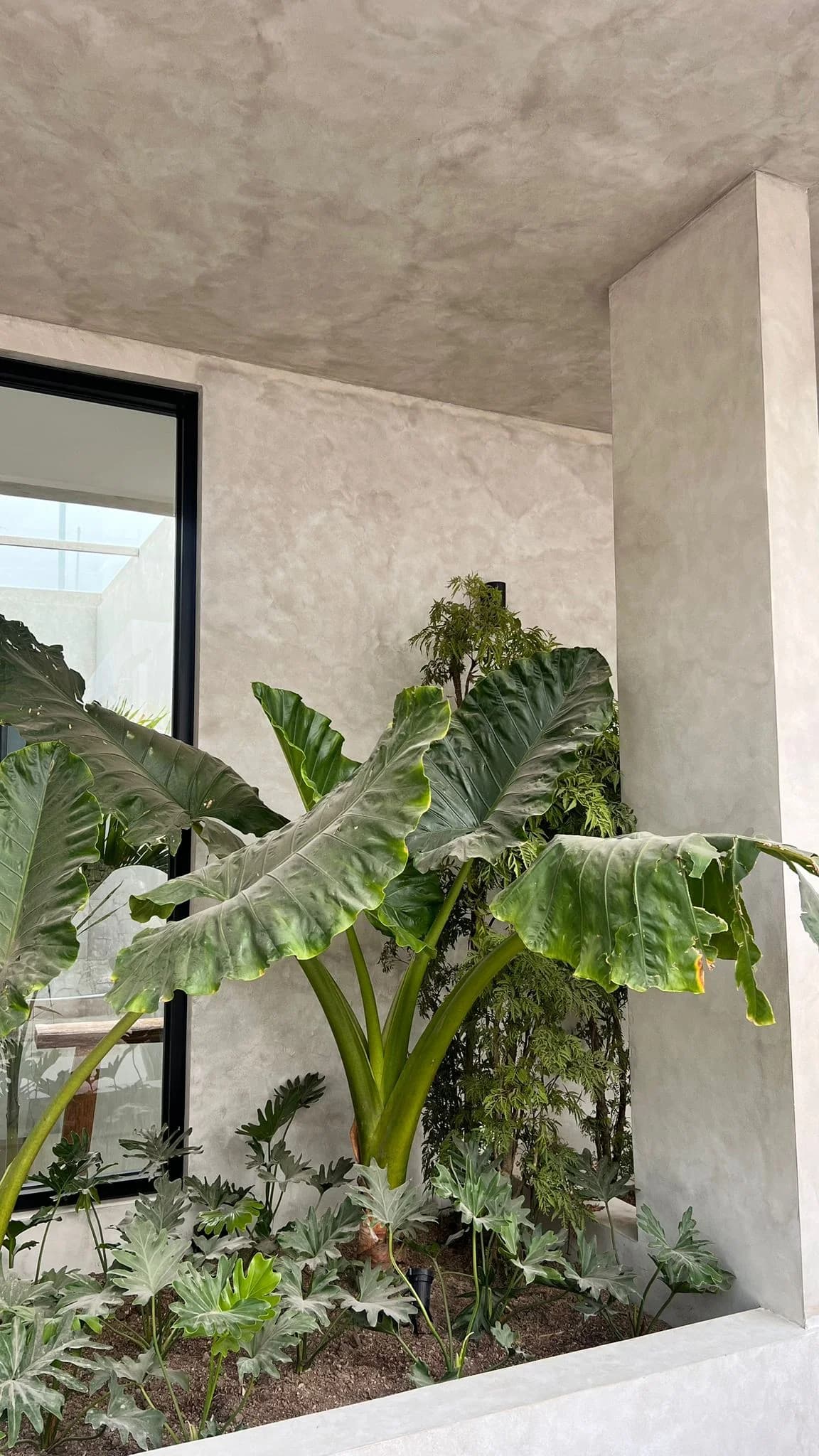 Modern 3-bed villas for Sale in Kuta Lombok