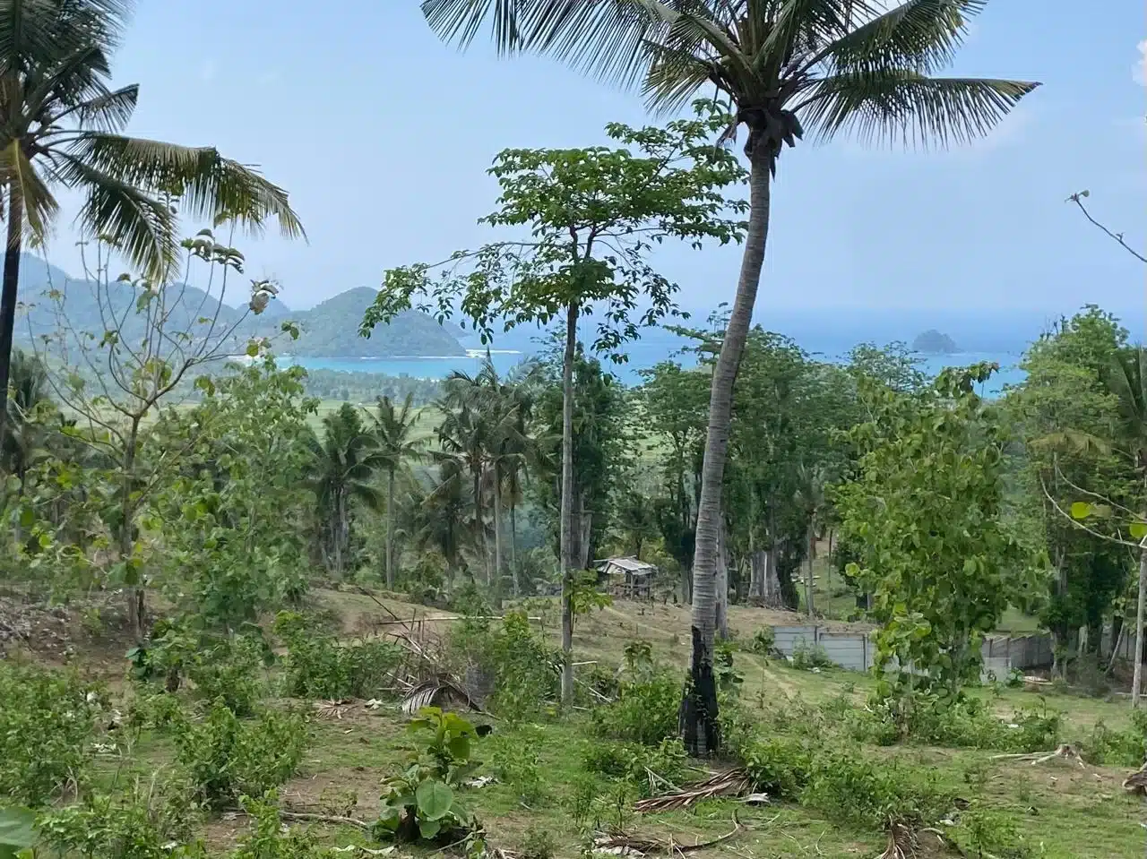 Land for sale above Selong Belanak-Featured