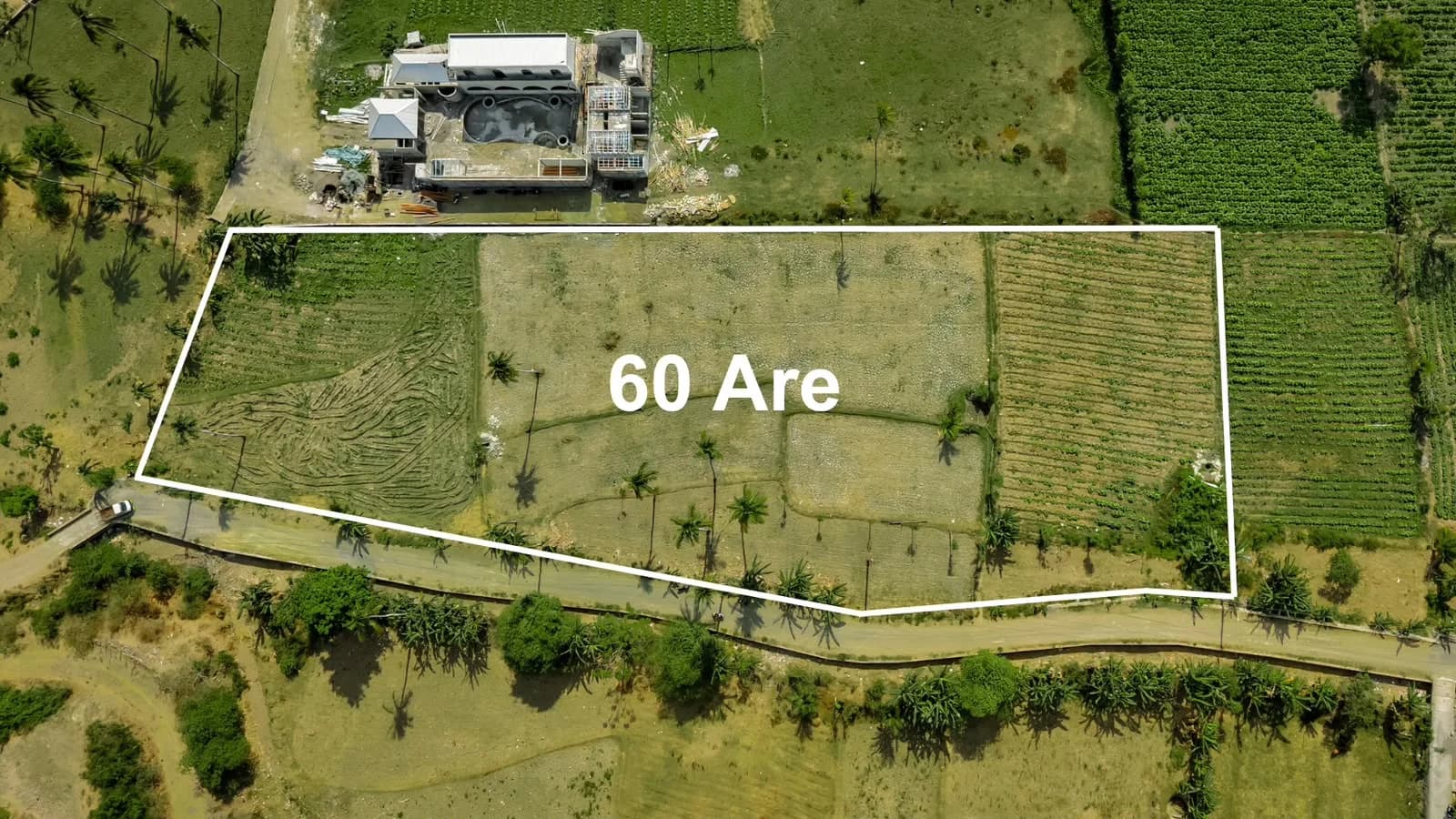 Master plan of the flat plots for sale in Selong Belanak showing plot divisions from 1,000 sqm