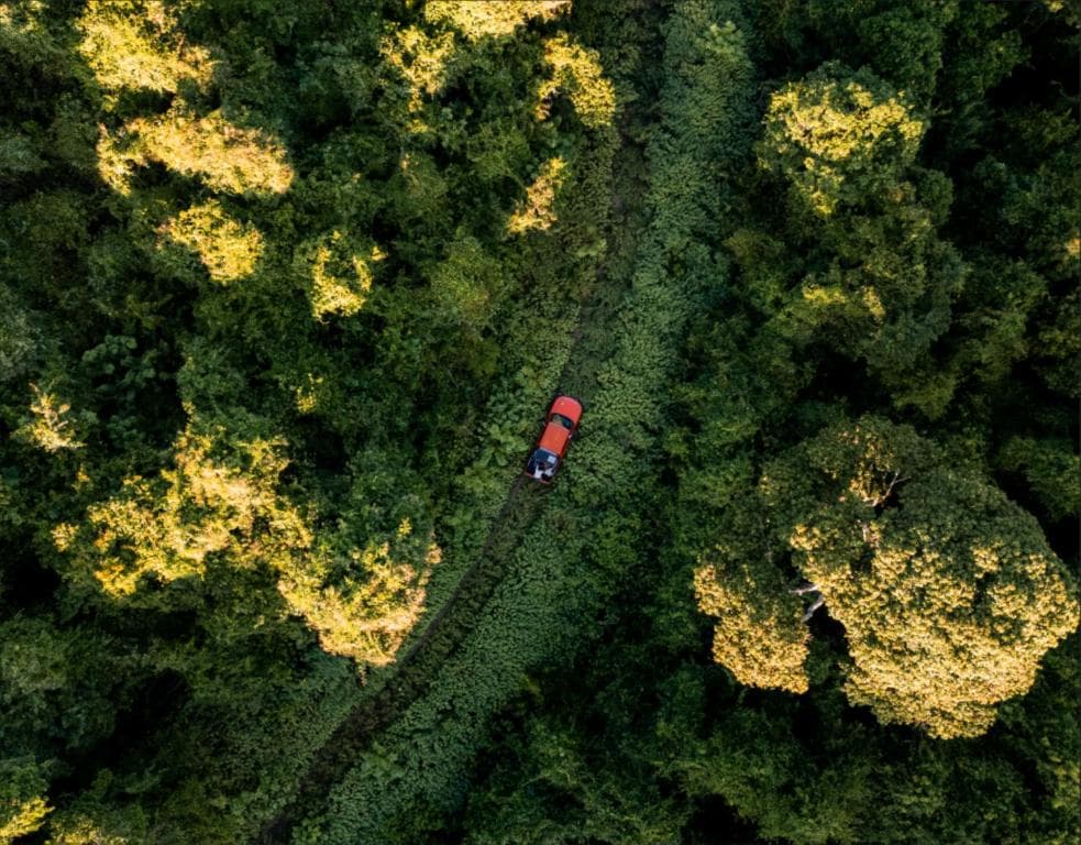 Lifestyle & Things to Do