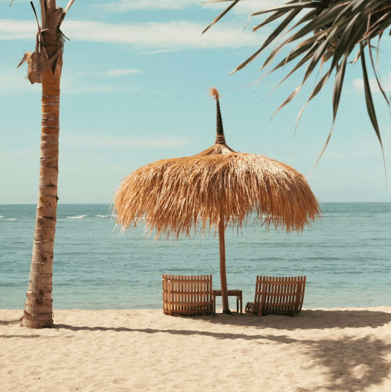 Beachfront Area