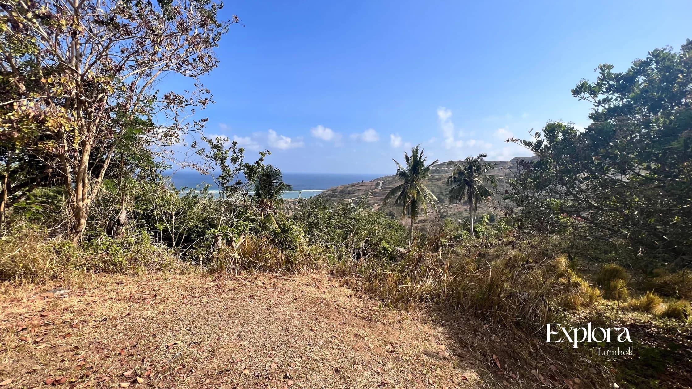 Views - Lombok land for Sale - torok hills