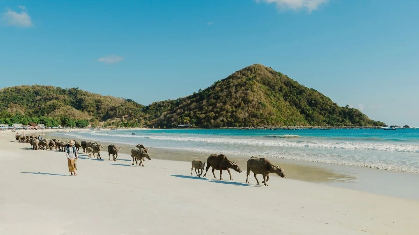 Selong Belanak Beach