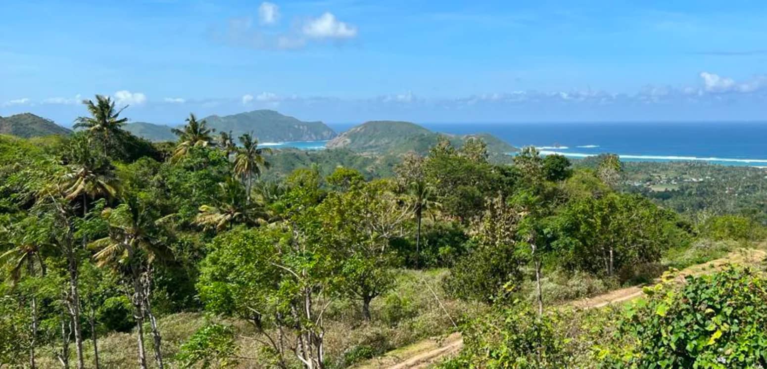 Lands for Sale in Tampah, South Lombok - 1400 - 1700 sqm