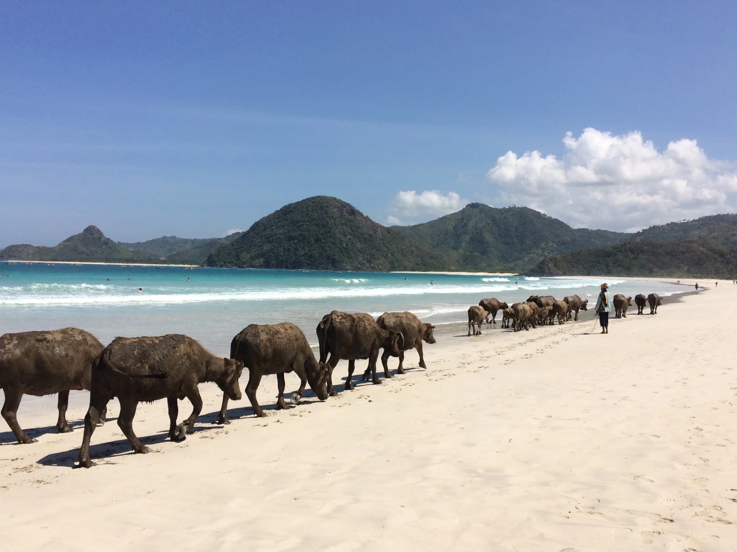 Selong Belanak Beach, South Lombok, 5 minutes from the flat plots for sale