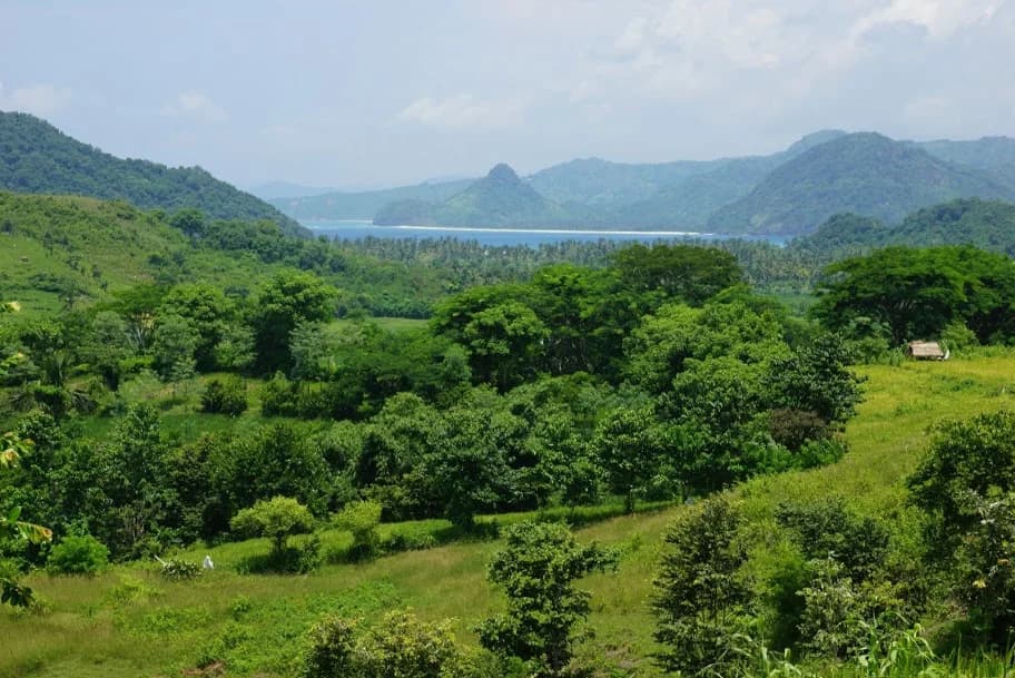 Green Selong Ridge - land for sale in Selong Belanak