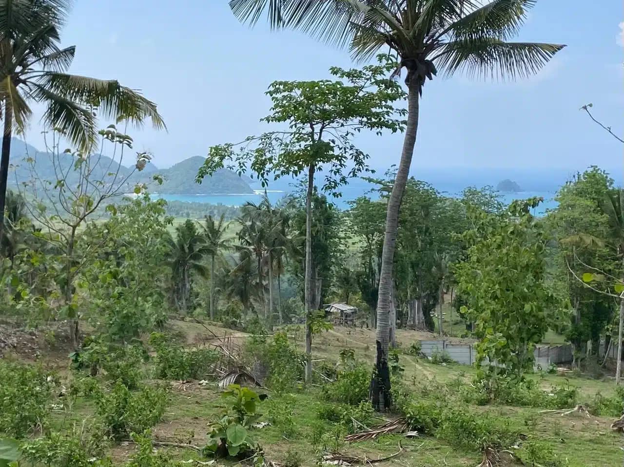 Lands for Sale in Selong Belanak, South Lombok - 3000-15427 sqm